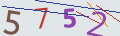 verifycode